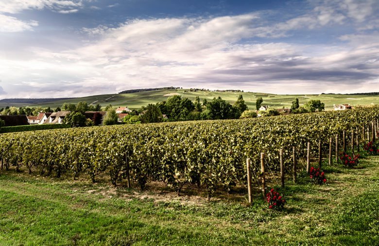 Champagne Billecart Salmon Clos-Saint-Hilaire
