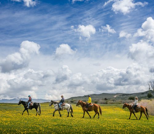 luxury dude ranch Magee Homestead in Wyoming