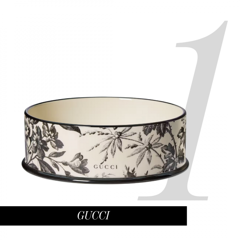 Dog Bowl