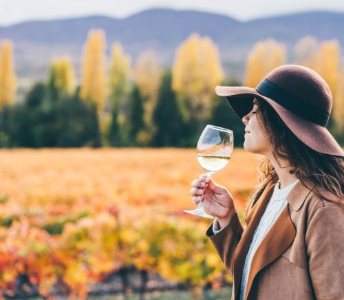 Wines of the World