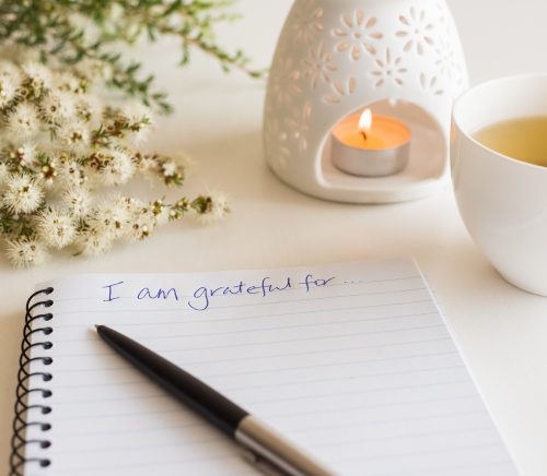 Daily Gratitude Practice story hero