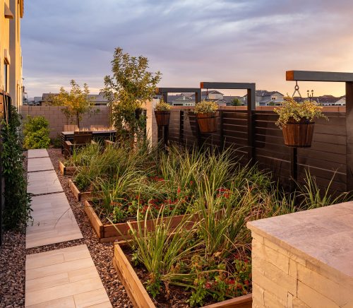 An outdoor garden in the desert.